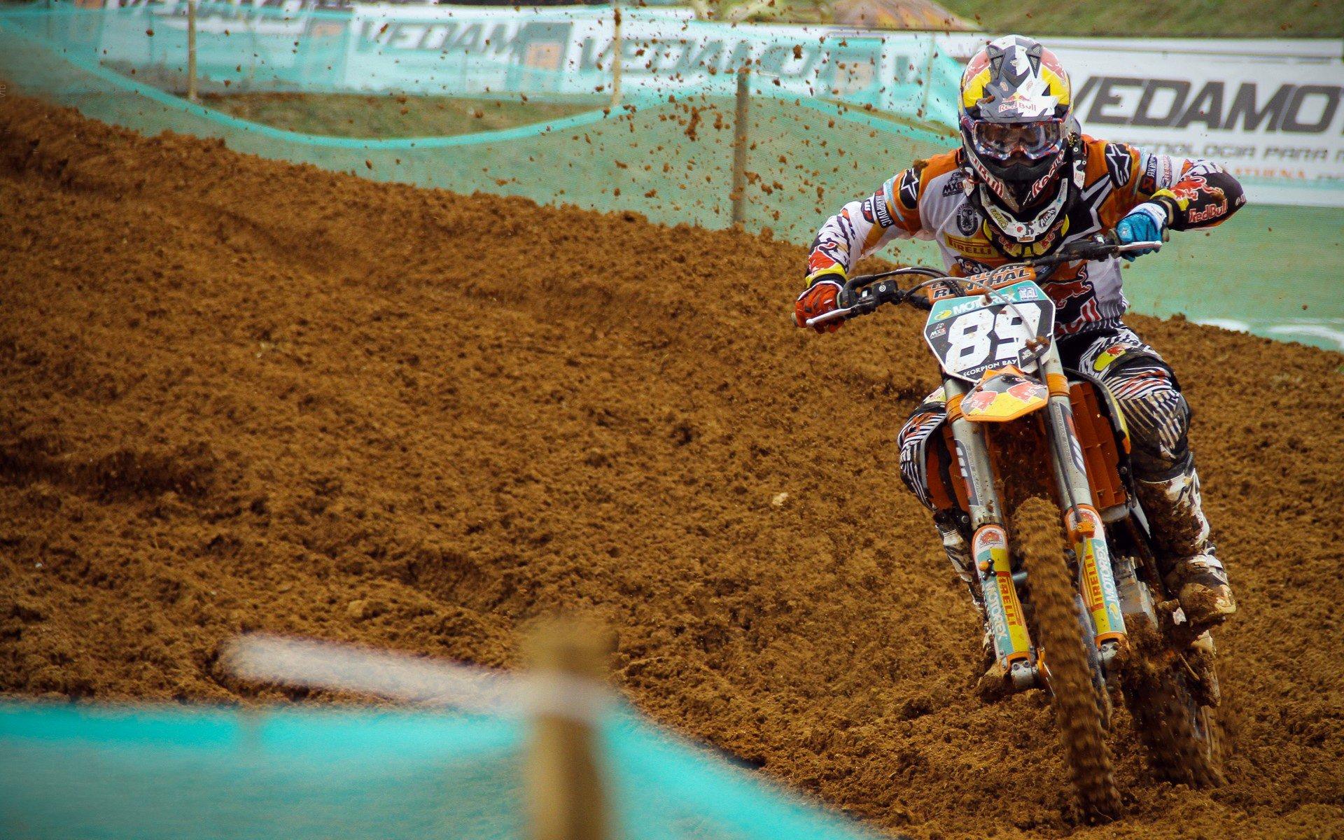 中国跳水队包揽世锦赛全部金牌,创历史最佳战绩