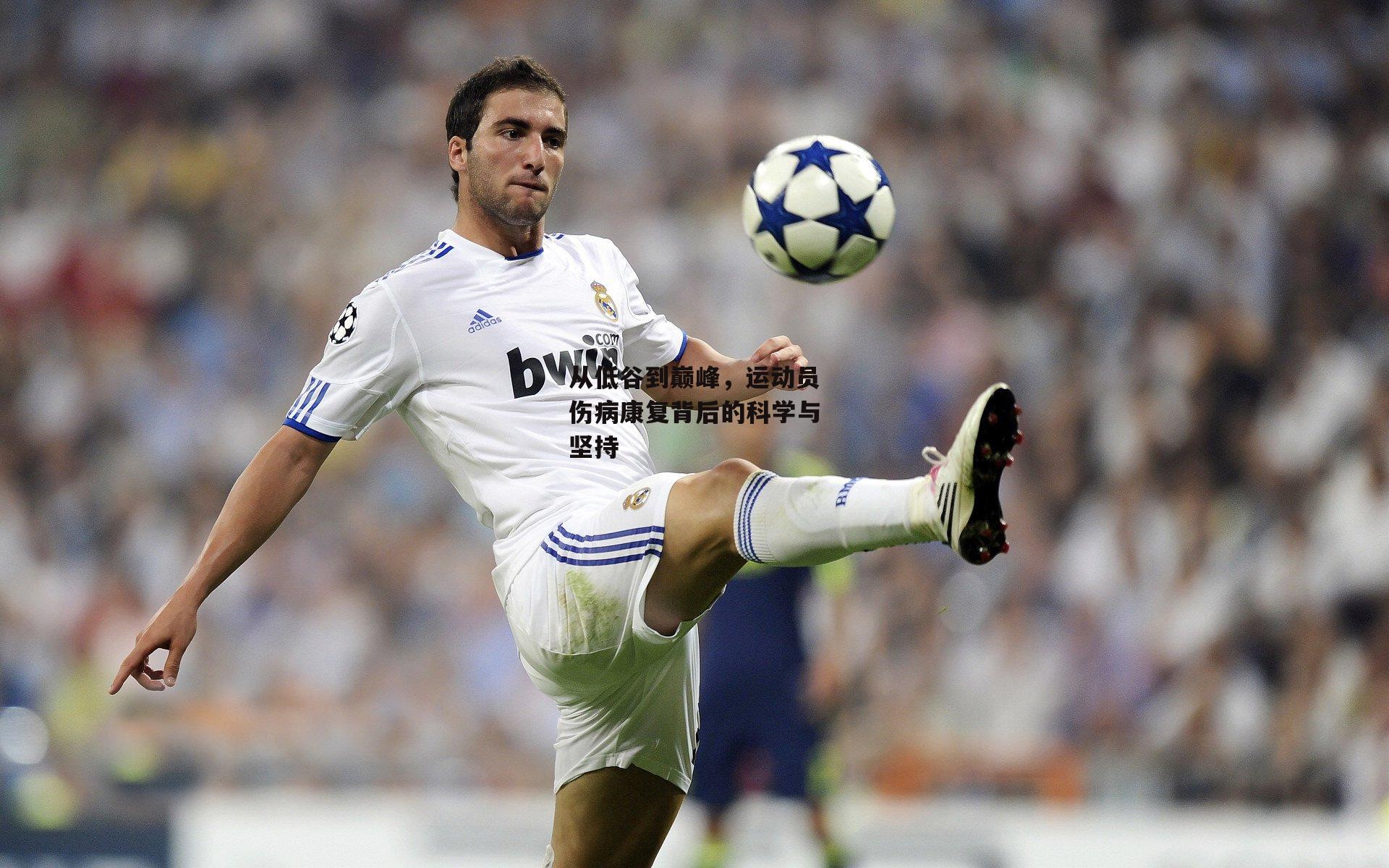 从低谷到巅峰,运动员伤病康复背后的科学与坚持